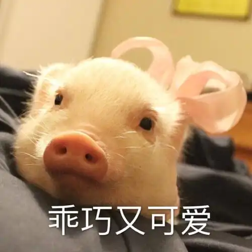 高手分析下卡米龙 美旅 新秀丽哪个好?