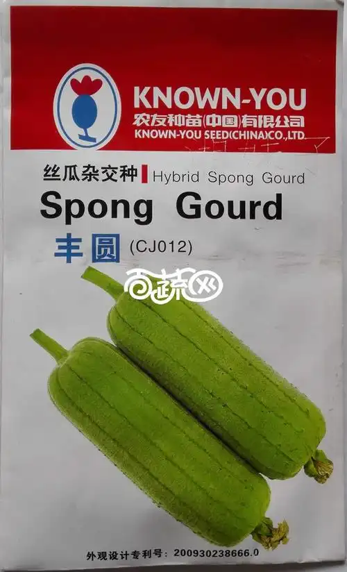 丰圆丝瓜杂交种子 果实中筒型 肉质翠绿色 着果性强 丝瓜种子 10克装