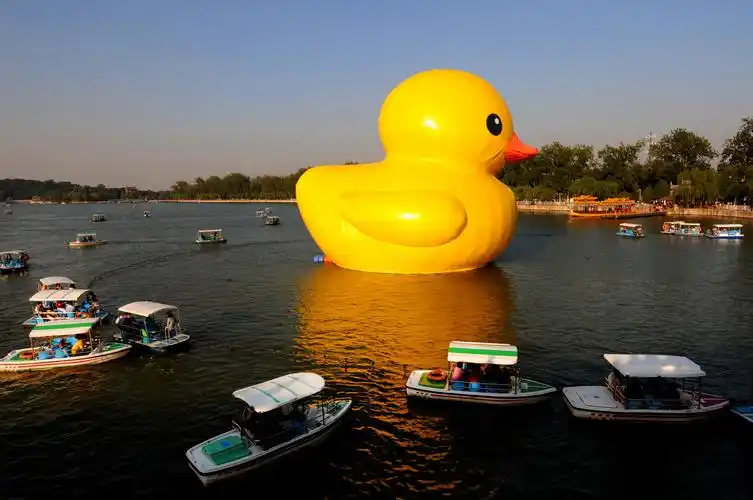 大黄鸭游进皇家园林——颐和园