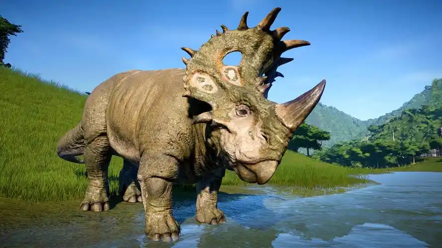 中国角龙的邻居举起你的双手!