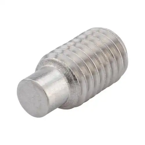 六角凹头定位螺钉,带销 - 内六角圆柱端紧定螺钉-iso4028-a2-21h-hs1