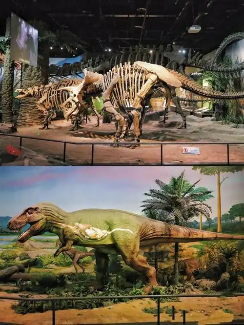 周末想遛娃但是又不知道去哪?天津自然博物馆,好看好玩还非常有意义.