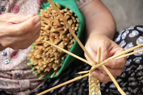 7月15日,河南省内黄县马上乡农民在掐辫子.(刘肖坤)