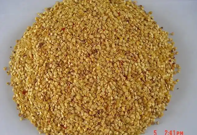 长期供应辣椒籽