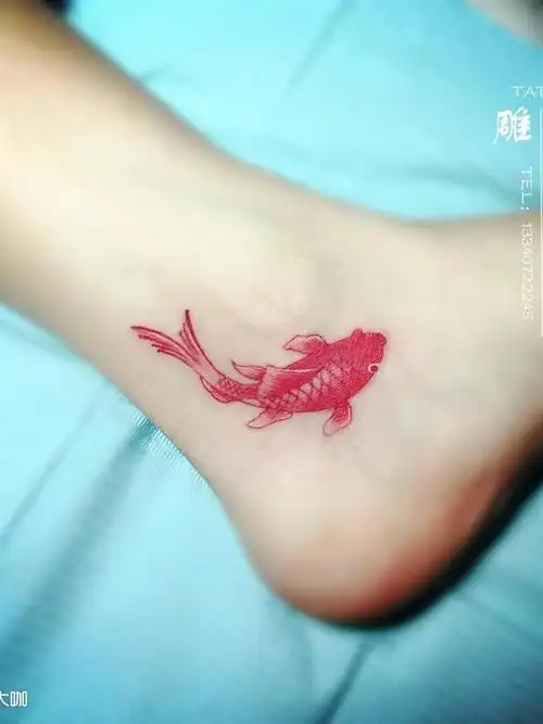 小红鱼_纹身图案手稿图片_燕子的纹身作品集