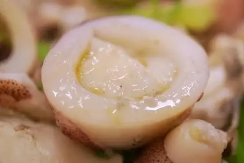 最近网购了一箱小鱿鱼肚子里都是膏