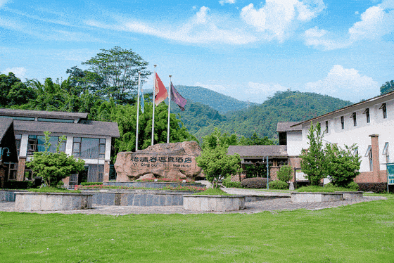 惠州怡情谷酒店,泡38个特色温泉池,住主楼,含2大1小自助早_矿泉_博罗