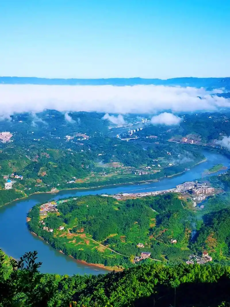 上春山 看春水丨谢谢你们保护"我",在赤水河里快乐徜徉-贵阳网