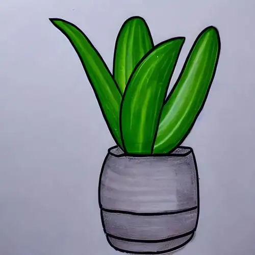 芦荟的简笔画图片