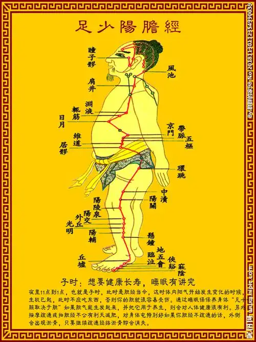 您也可以当中医足少阳胆经