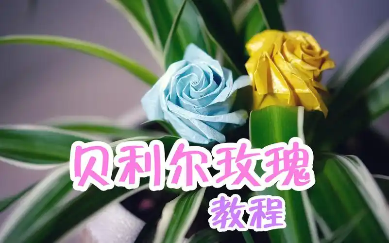 折纸教程来学一朵好看的贝利尔玫瑰吧