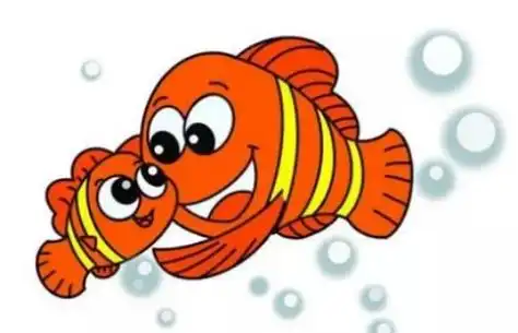 可爱彩色尼莫小丑鱼简笔画怎么画 简单尼莫小丑鱼简笔画带步骤画法