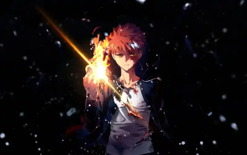 【fate】带你认识 fate 系列各作品中的 卫宫士郎(魔法少女伊莉雅篇)