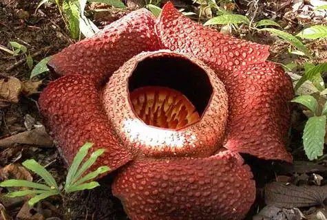 有被吓到的吗[表情][表情][表情]_帖子_oppo手机官方社区