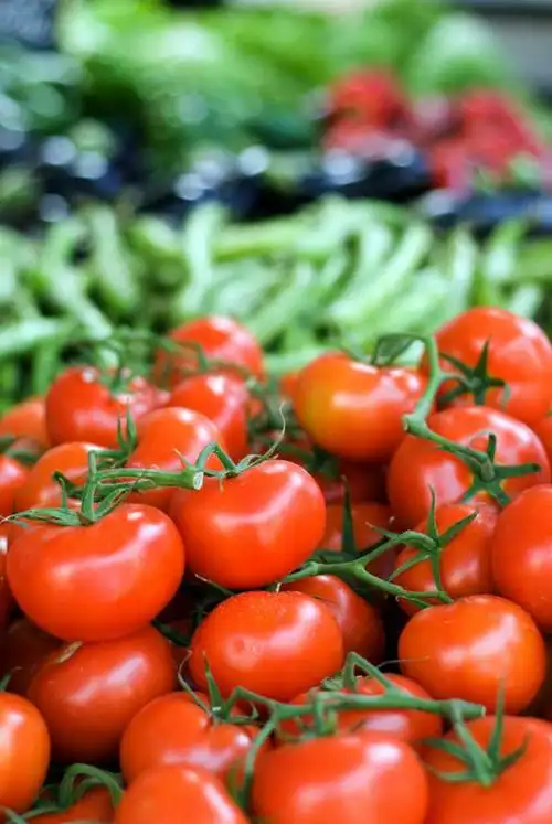 无人,竖图,俯视,室外,特写,白天,蔬菜,西红柿,静物,一堆,许多,堆叠