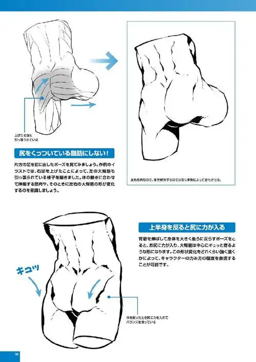 绘画参考#男性肌肉绘制
