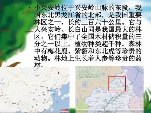 23,美丽的小兴安岭(生字及课文详解清晰图片)ppt