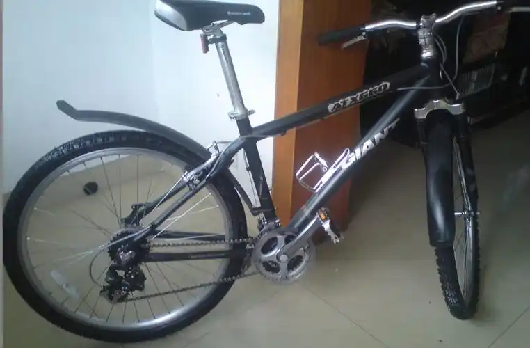 相册: 我的相册