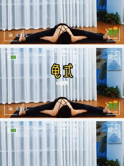 瑜伽日常0069龟式