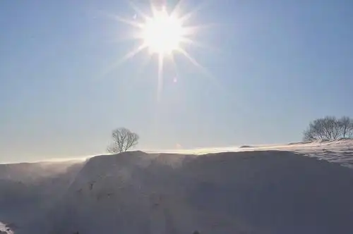 没有一个冬天不会过去,没有一个春天不会到来,太阳照大地,天耀我中华
