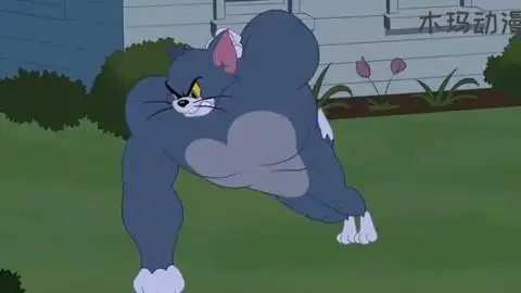 汤姆为了变成最厉害的猫 拼命健身
