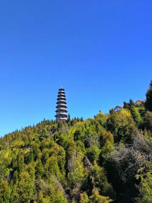 老阴山旅游区-饮食区
