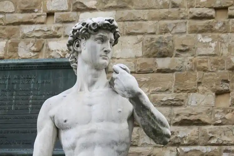 《大卫雕塑》局部