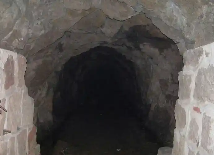 我上山迷路了怎么办手机也快没电了在这大山林中天也