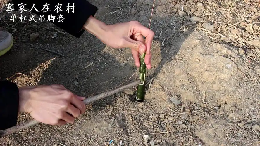 小王制作单杠式吊脚套陷阱比传统陷阱更迷你测试一下性能