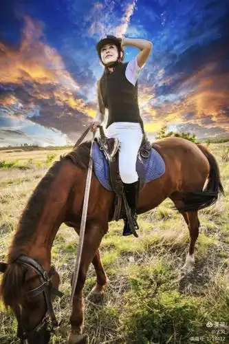 骑马的美人