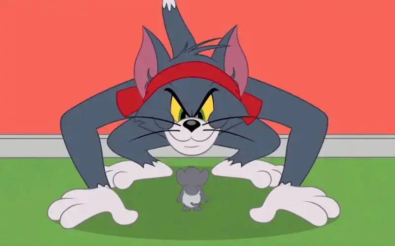 【经典动漫】猫和老鼠 - 汤姆:请叫我功夫汤