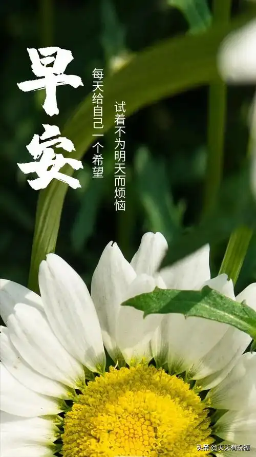 饱含人生哲理的朋友圈说说 励志正能量早安图片