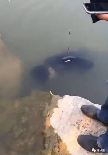 惊悚菏泽一市民河边钓鱼竟钓上来一具男尸附现场视频