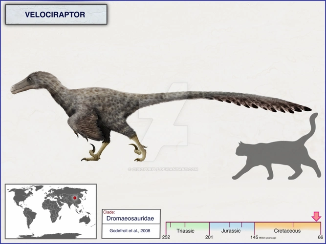 伶盗龙是蜥臀目兽脚亚目驰龙科恐龙的一员,生活