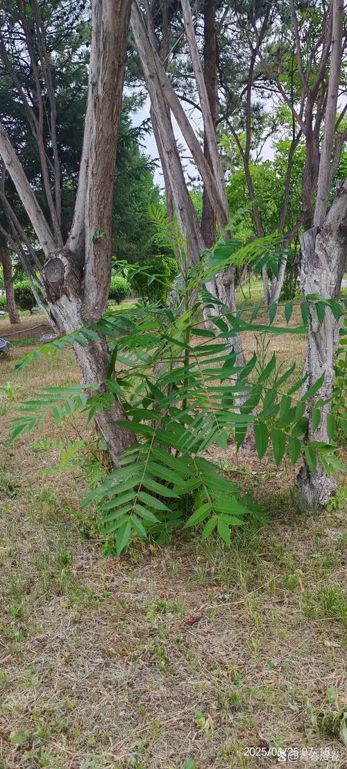 今年高考没想到再次落榜