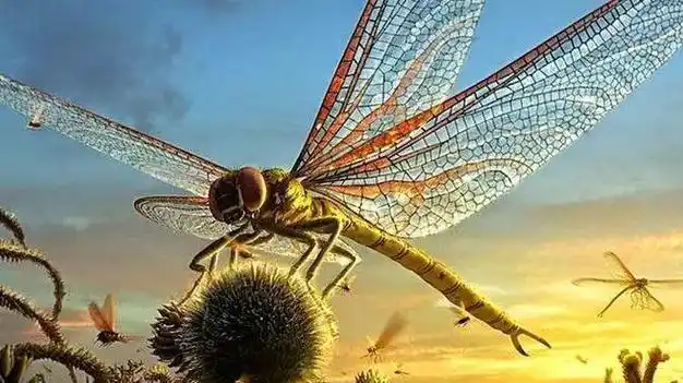 史前昆虫曾统治地球,翼展接近1米,为什么它们现在却缩小了?