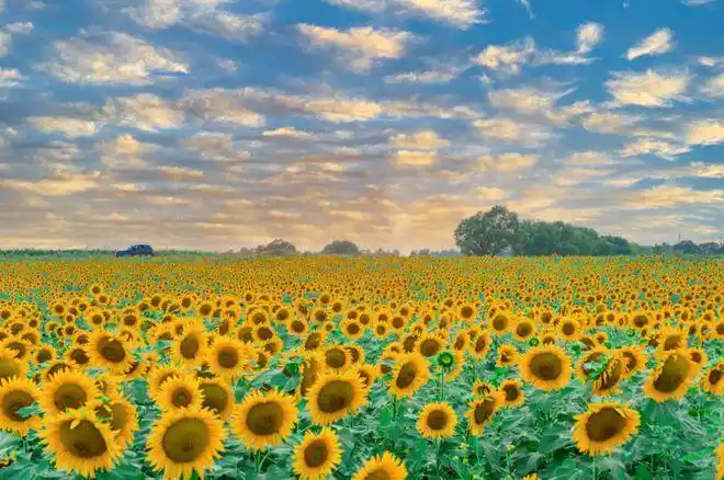 适合发朋友圈的好听句子