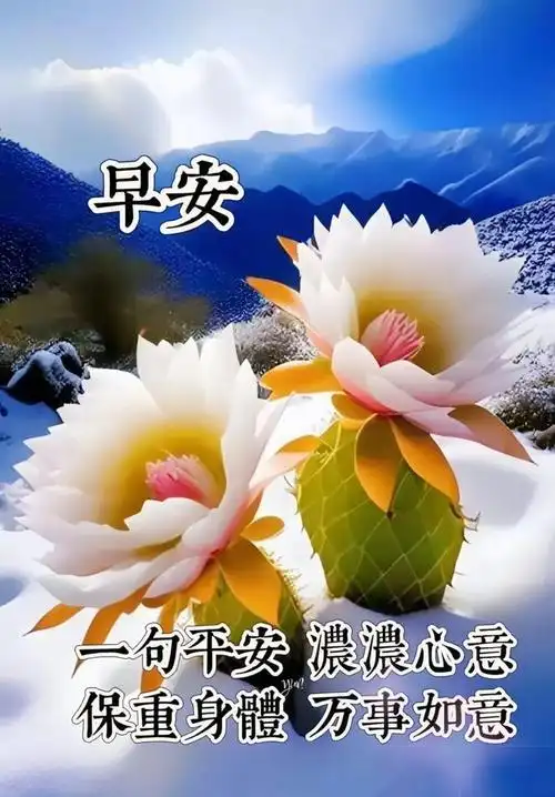 11月12日星期日早上好最新漂亮图片早安祝福