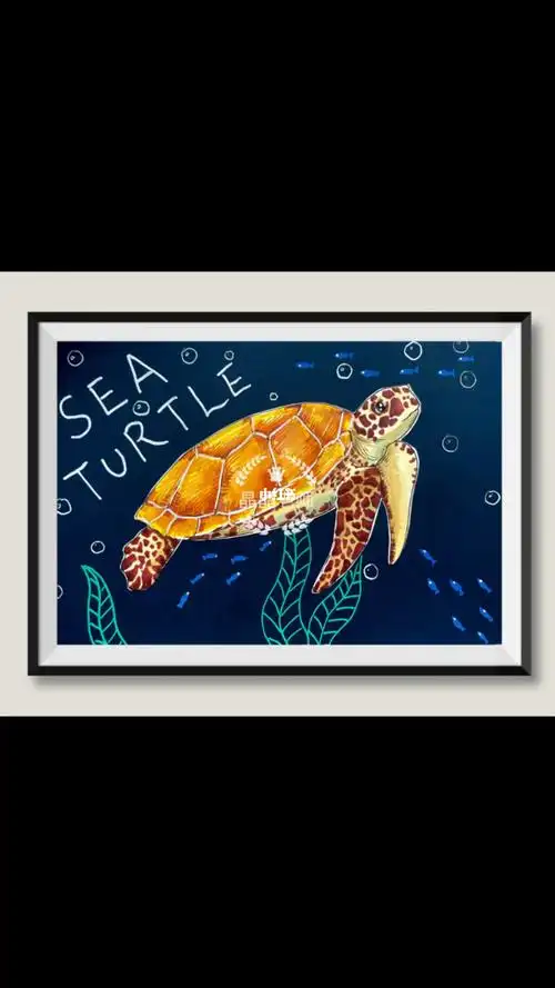 马克笔海龟