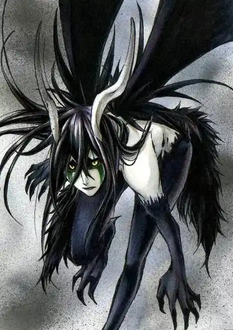 每日图包乌尔奇奥拉