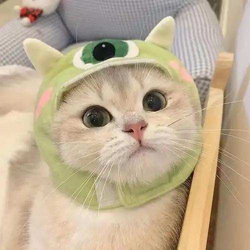 你的萌宠头像已送达