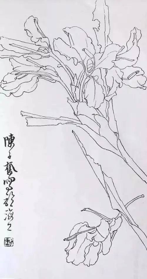 国画家陈子奋白描作品欣赏