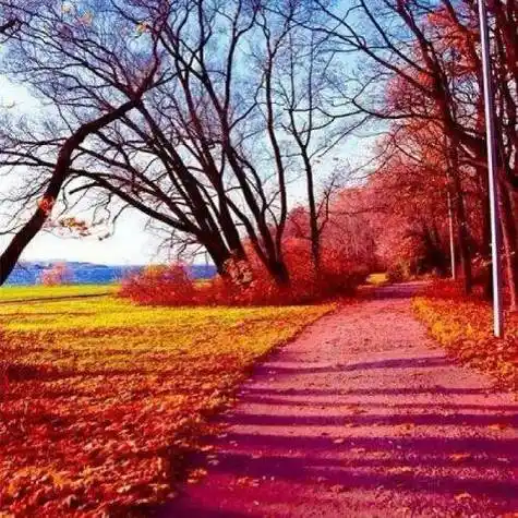 美美的视觉享受美景微信头像,适合中老年人的头像