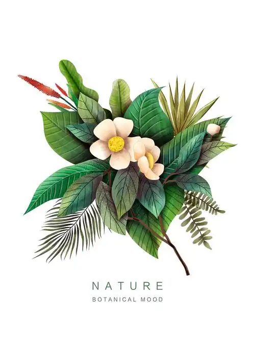 绿植|平面|图案|山知设计 - 原创作品 - 站酷 (zcool)