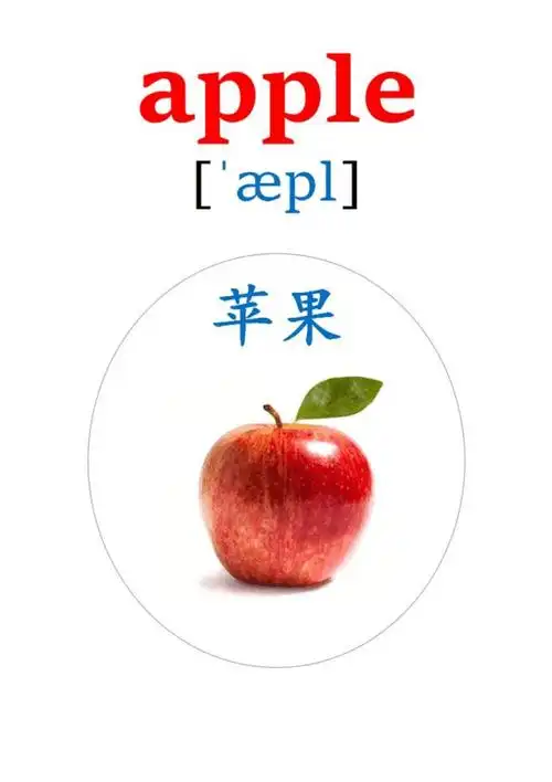 少儿英语单词:看图记单词之水果