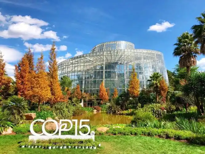 昆明植物园扶荔宫