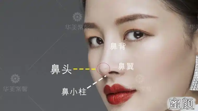 要做鼻头缩小就要明确鼻头的位置,了解鼻头大的原因.