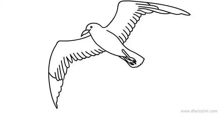 海鸥飞翔简笔画图片教程海鸥儿童画怎么画海鸥简笔画图片海鸥怎么画