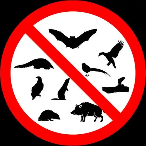 邱宝昌食用高风险物种动物目前法律存在真空地带