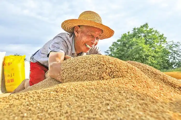 农业强 农村美 农民富——庆阳市农业农村工作综述